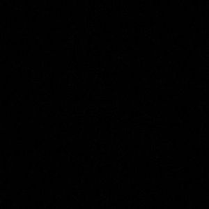 Meet your Posher, Claudia